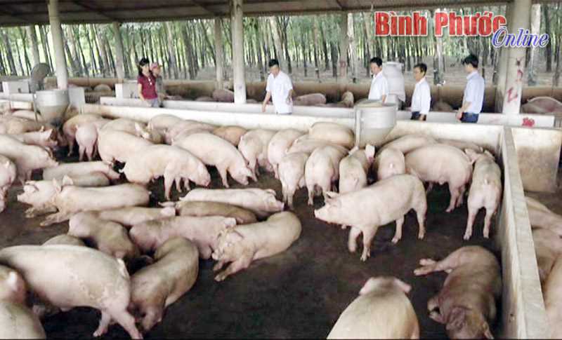 Chơn Th&agrave;nh thi đua n&ocirc;ng d&acirc;n sản xuất, kinh doanh giỏi