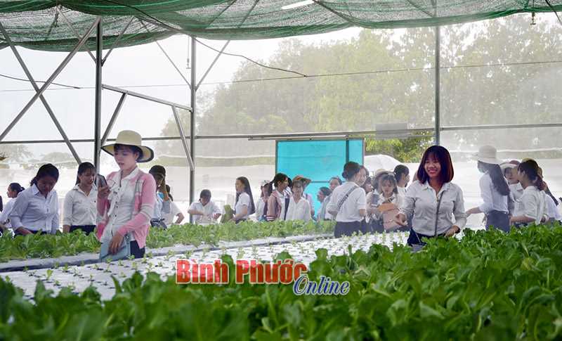 Sinh vi&ecirc;n sư phạm tham quan Tiểu đo&agrave;n 208