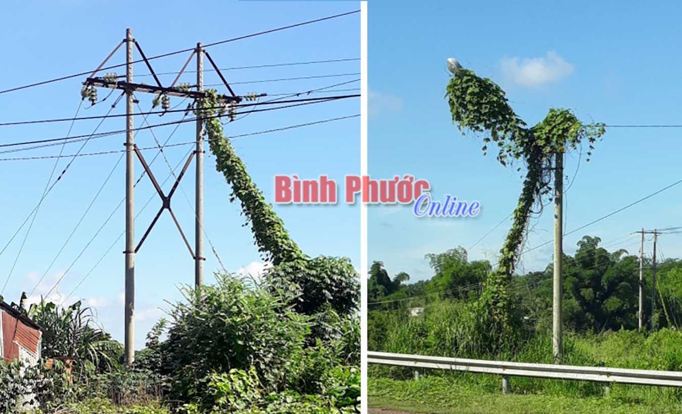 Nguy cơ mất an to&agrave;n