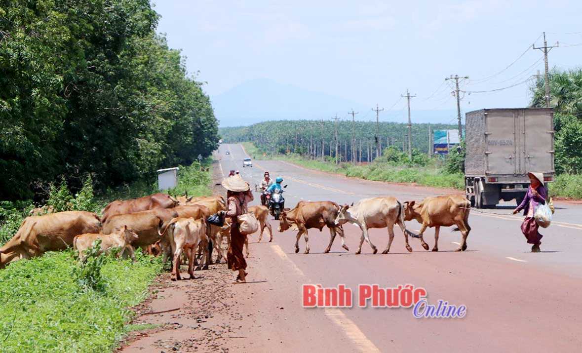 Cản trở giao th&ocirc;ng
