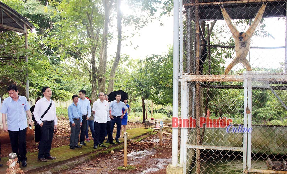 Bảo tồn hiệu quả động vật quý, hiếm