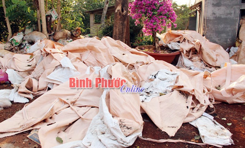 Cảnh giác với phân chuồng chưa qua xử lý