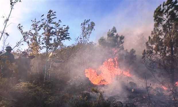 Công điện khẩn yêu cầu các tỉnh tăng cường phòng cháy, chữa cháy rừng