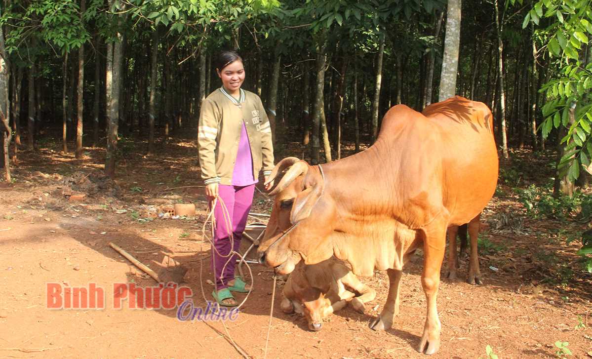 Chị Thị Tuốt quyết t&acirc;m kh&ocirc;ng để t&aacute;i ngh&egrave;o