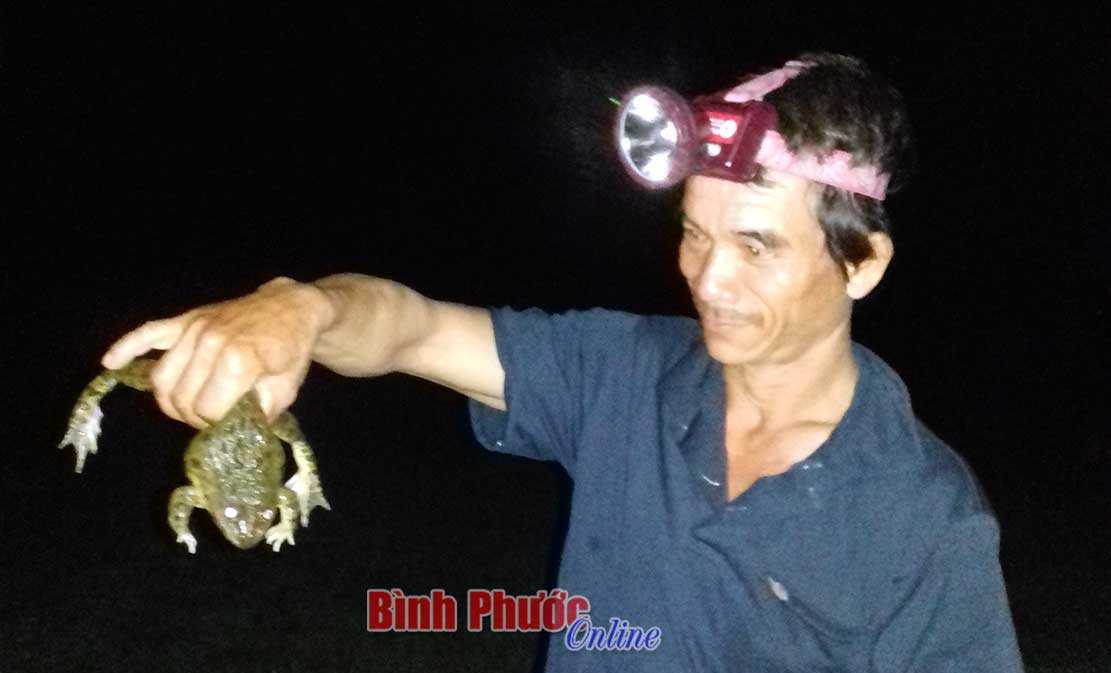 Mưu sinh trong đêm mưa