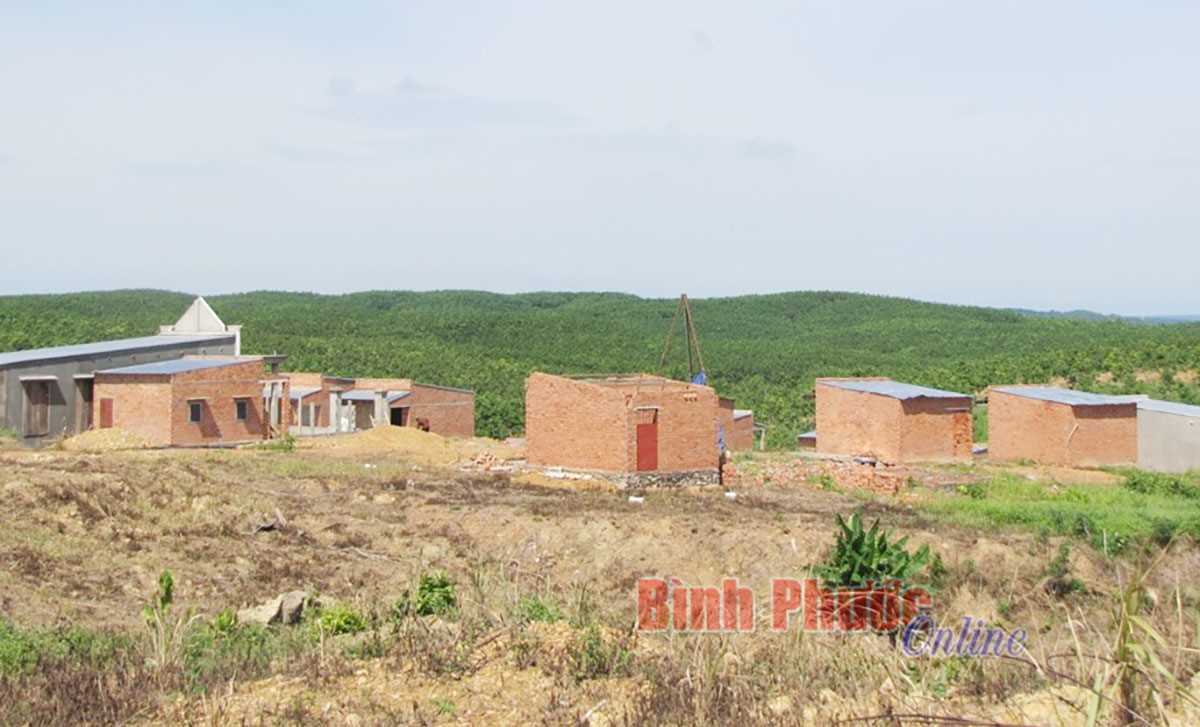 Đồng Ph&uacute; thực hiện tốt c&aacute;c dự &aacute;n định canh, định cư cho đồng b&agrave;o DTTS