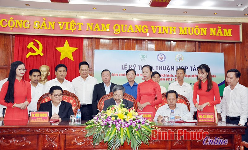 Ký thỏa thuận hợp tác xây dựng chuỗi sản xuất thịt gà an toàn