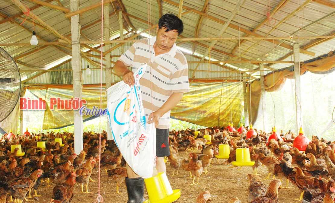 B&igrave;nh Long gắn đ&agrave;o tạo với giải quyết việc l&agrave;m