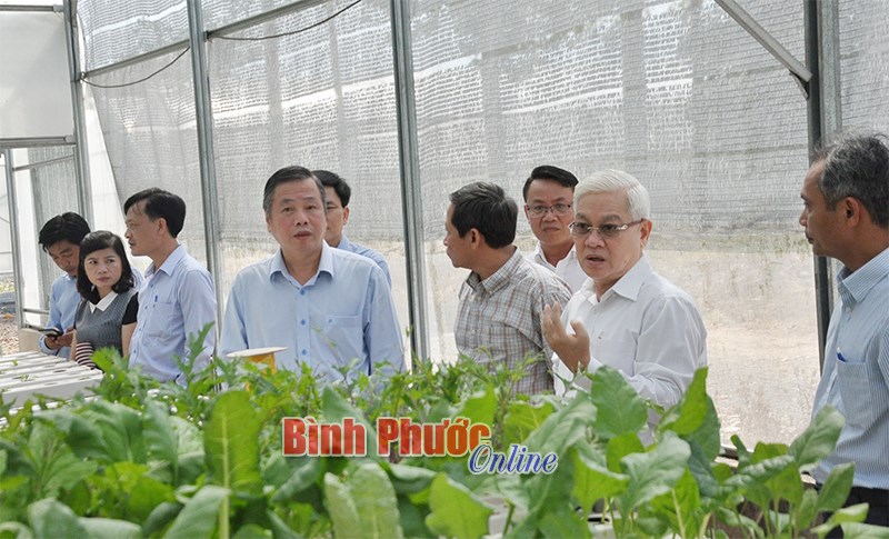 Sẽ đặt h&agrave;ng nh&acirc;n giống điều tốt để đầu tư cho v&ugrave;ng kh&oacute; khăn