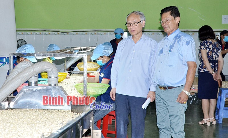 HĐND tỉnh gi&aacute;m s&aacute;t quản l&yacute; an to&agrave;n thực phẩm