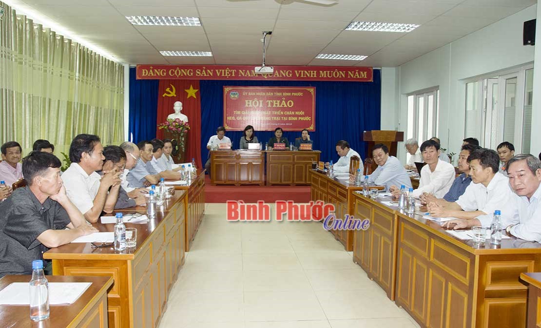 Hội thảo tìm giải pháp phát triển chăn nuôi quy mô trang trại