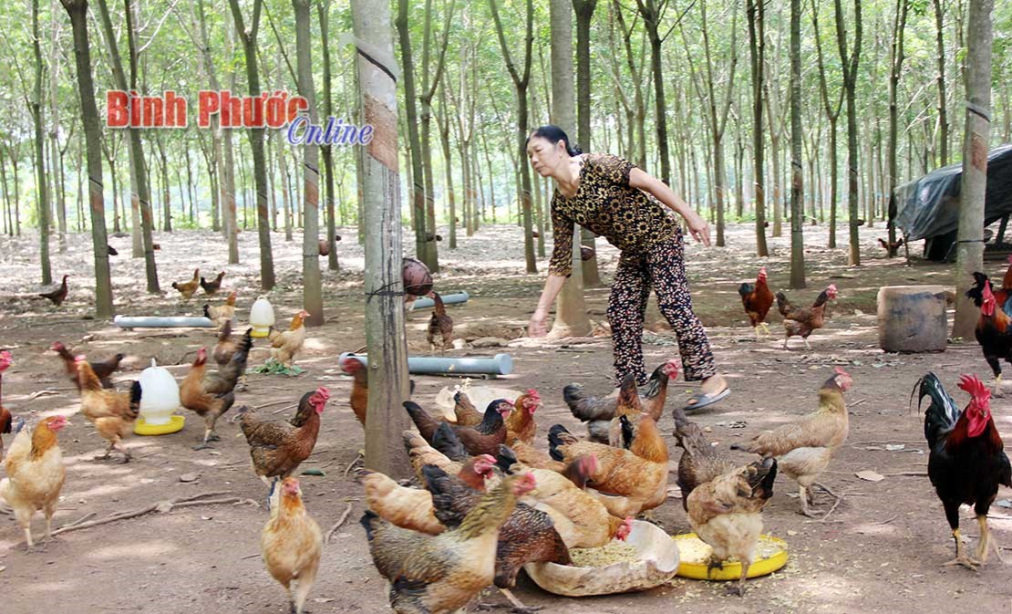 Học B&aacute;c gắn với x&acirc;y dựng n&ocirc;ng th&ocirc;n mới