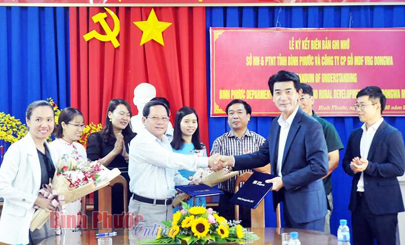 Ký kết hợp tác nâng cao giá trị gỗ điều tận thu tái canh