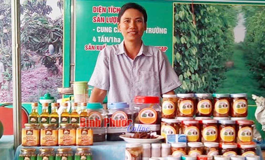 HTX nông nghiệp dịch vụ hồ tiêu Hiệp Tiến: Trên 95% thành viên sản xuất sản phẩm đạt loại A