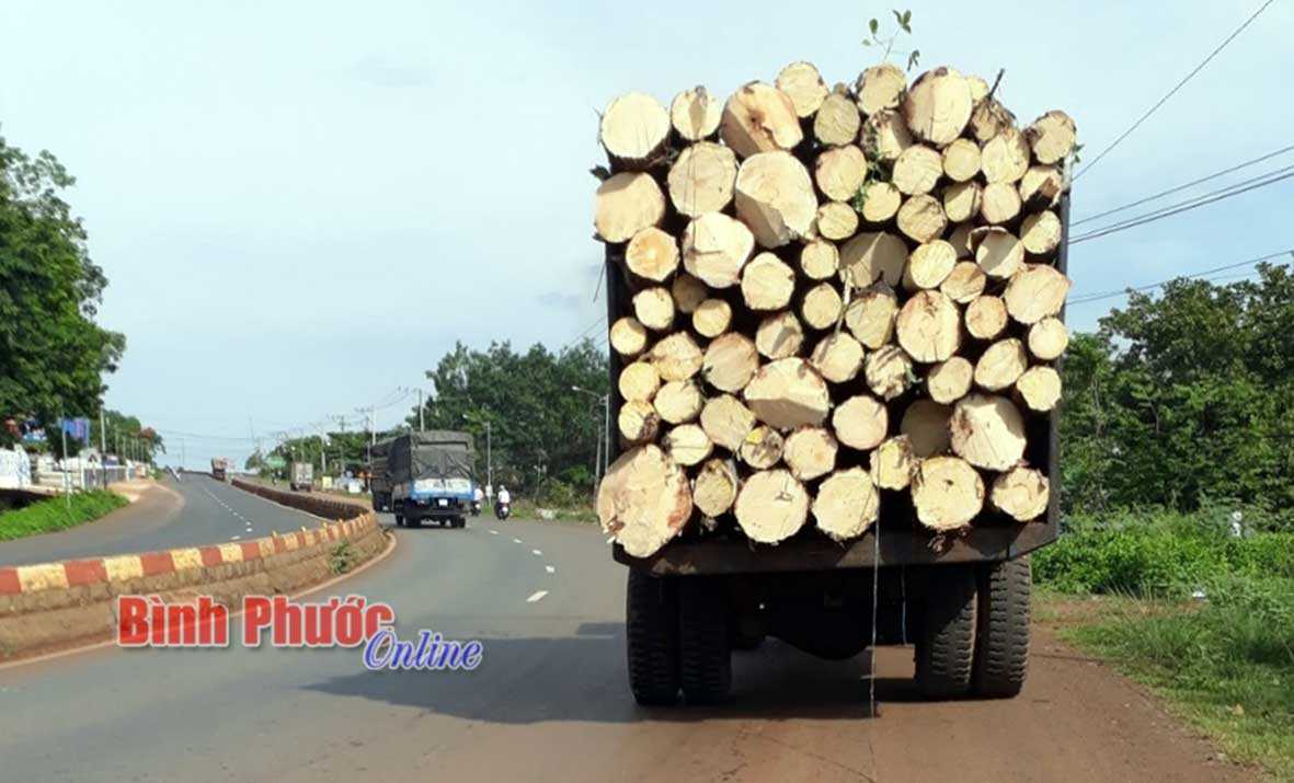 Qu&aacute; khổ, qu&aacute; tải