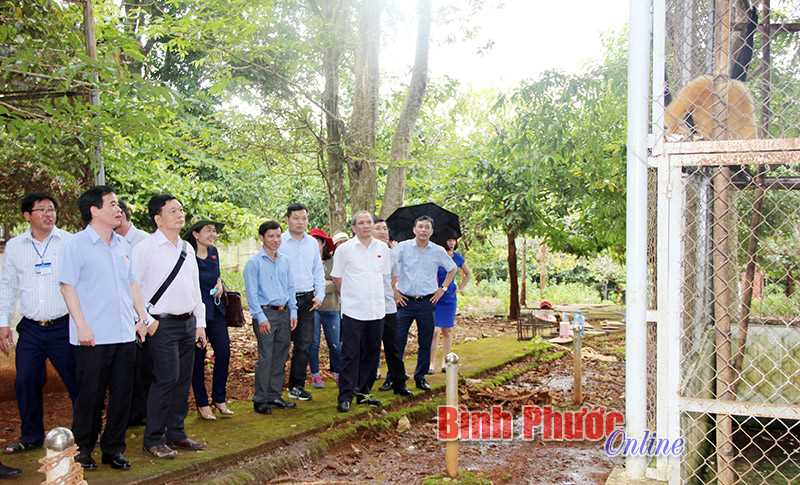 Ủy ban Tư ph&aacute;p Quốc hội l&agrave;m việc tại Vườn quốc gia B&ugrave; Gia Mập