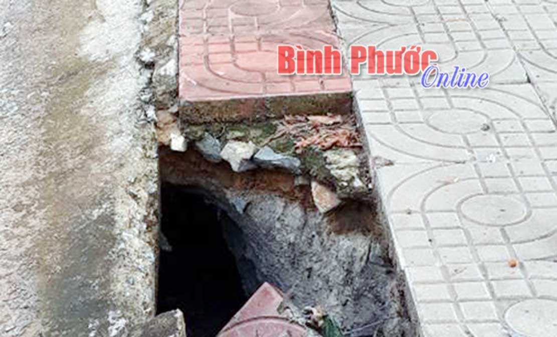 Bẫy bên lề đường