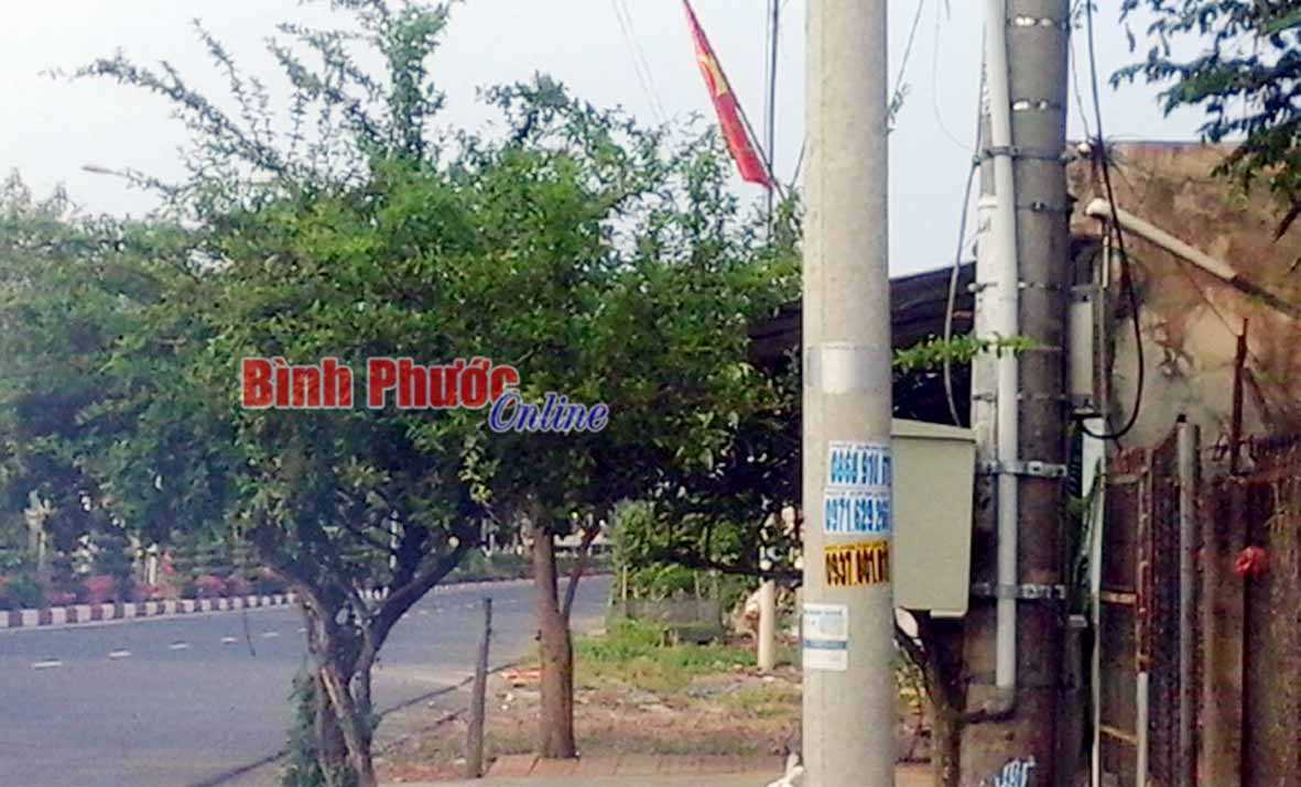 Pa-n&ocirc; nhếch nh&aacute;c đ&atilde; được th&aacute;o dỡ