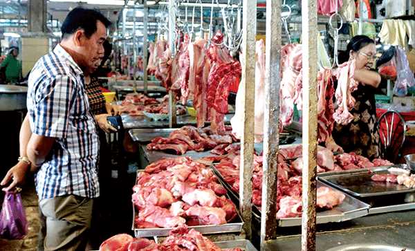 Giá heo hơi tăng trở lại