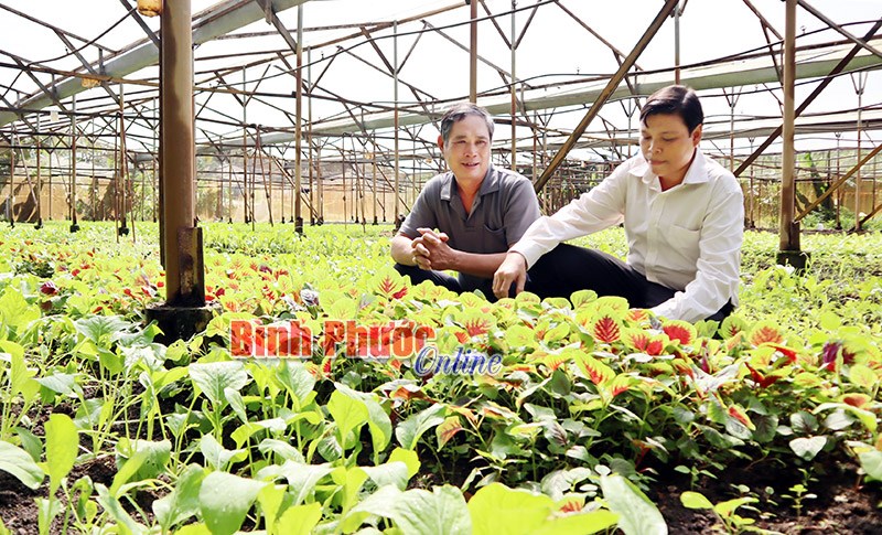 Trăn trở với nông sản sạch