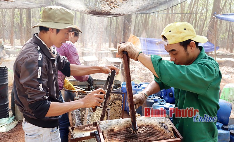 Du mục theo mùa hoa