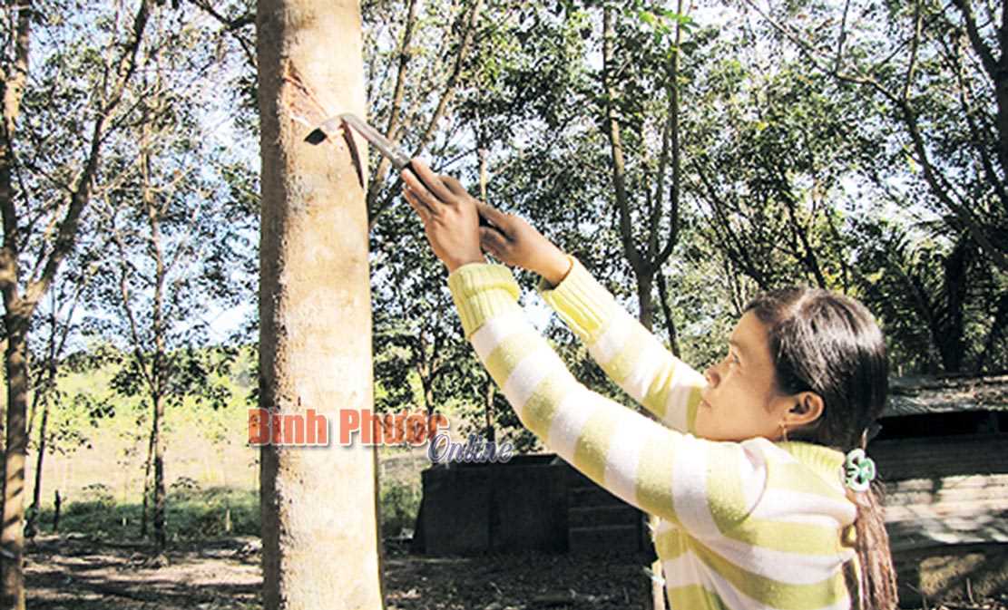 Thực hiện thường xuy&ecirc;n truyền th&ocirc;ng về b&igrave;nh đẳng giới tại v&ugrave;ng DTTS