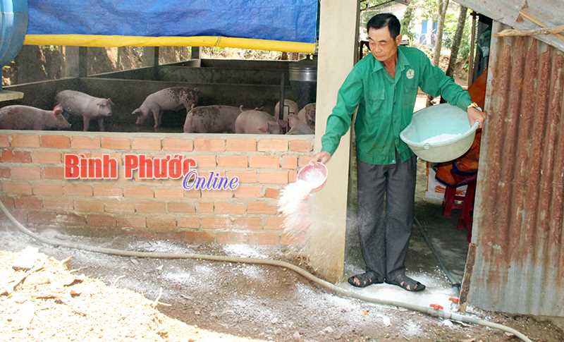 Chủ động phòng, ngừa dịch bệnh trong chăn nuôi