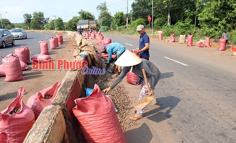 Xe container bị lật, 32 tấn điều tràn ra đường được nhân dân thu gom giúp tài xế