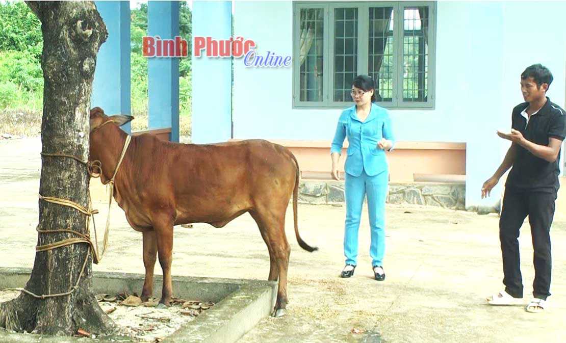 L&agrave;m theo B&aacute;c trong mỗi việc nh&acirc;n đạo