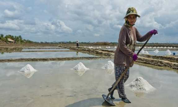 Campuchia có thể thiếu muối trong năm nay do sản lượng thấp