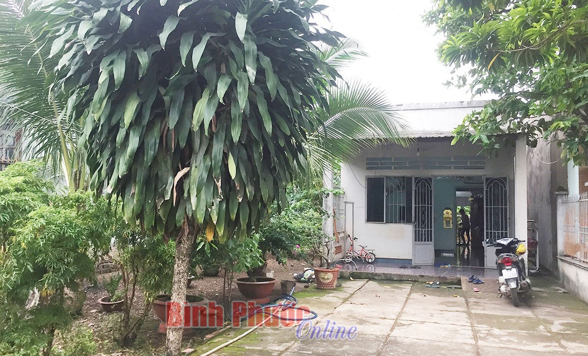 Nguy cơ mất nh&agrave; v&igrave; tắc tr&aacute;ch của c&aacute;n bộ địa ch&iacute;nh