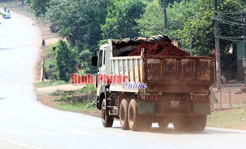 Cần xử phạt nghiêm