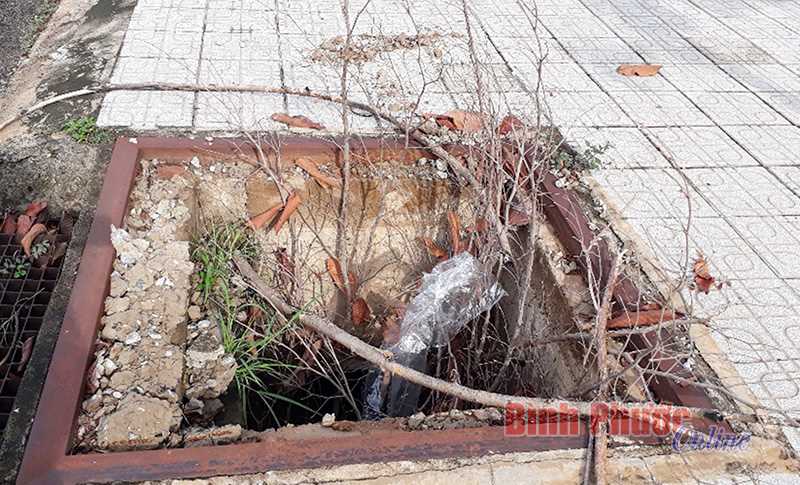 Ảnh phê bình: “Bẫy” lộ thiên