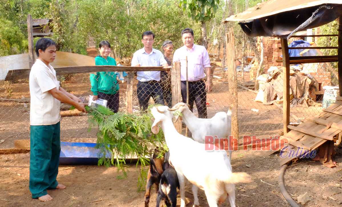 Phước Thiện: 824 lượt hộ d&acirc;n được hỗ trợ vay vốn