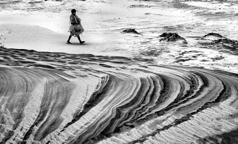 Cái đẹp này - trớ trêu thay - lại bắt nguồn từ độc hại và tàn lụi