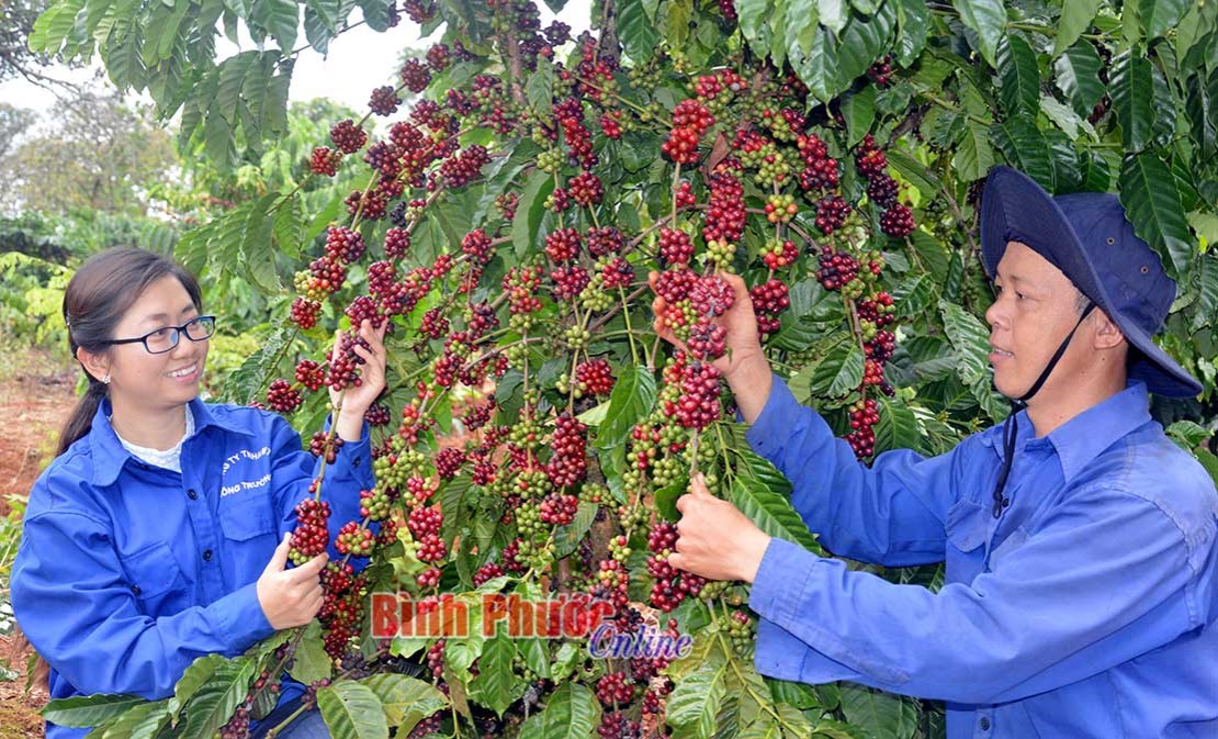 Đồng h&agrave;nh với nh&acirc;n d&acirc;n v&ugrave;ng dự &aacute;n