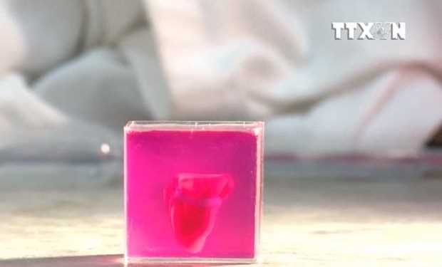 [Video] Đột phá y học: Trái tim in 3D đầu tiên từ mô người