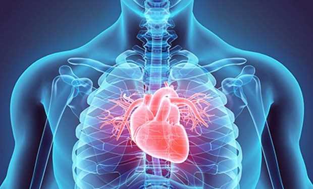 Nhật Bản đẩy mạnh nghiên cứu chữa bệnh tim bằng tế bào gốc
