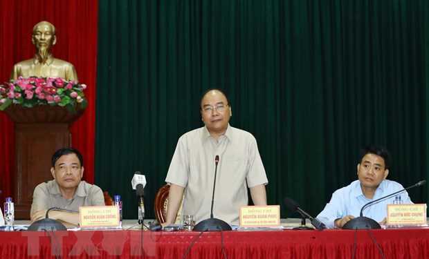 Cần huy động cả hệ thống ch&iacute;nh trị v&agrave;o cuộc chống dịch tả lợn