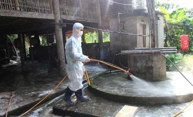 Rà soát tìm phương án hiệu quả phòng chống dịch tả lợn châu Phi