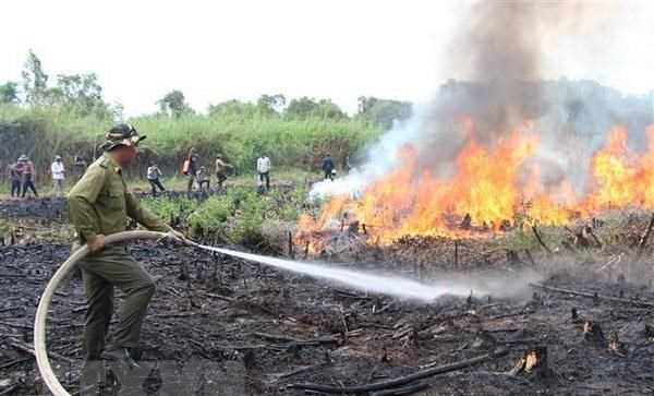 Cấp bách phòng cháy, chữa cháy rừng