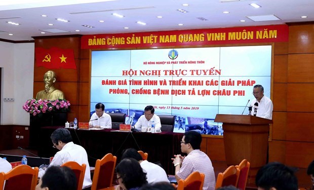 Hơn 1,2 triệu gia s&uacute;c bị chết v&igrave; dịch tả lợn ch&acirc;u Phi