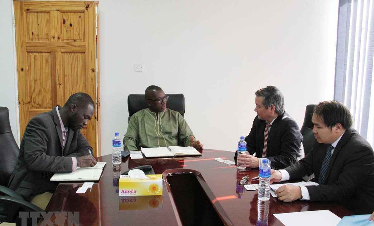 Việt Nam-Gambia tăng cường phát triển hợp tác kinh tế, thương mại