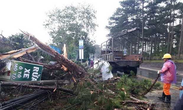 Sét và những cách phòng, tránh sét khi xảy ra mưa giông