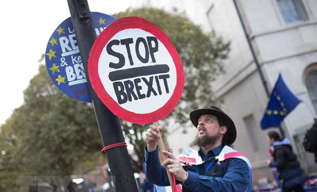 Anh: 6 triệu chữ ký kiến nghị Chính phủ rút lại Điều khoản 50 Brexit