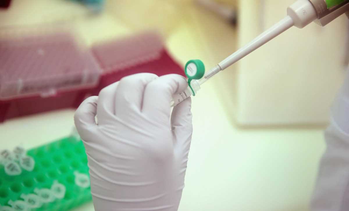 Brazil phát hiện vắcxin chống sốt vàng hữu dụng với Zika