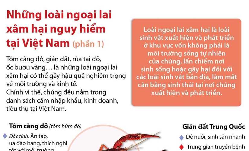 Những loài động vật ngoại lai xâm hại nguy hiểm tại Việt Nam