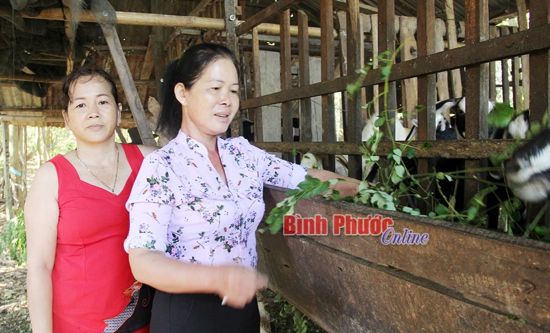 Phụ nữ Bù Đốp đa dạng mô hình tập hợp hội viên