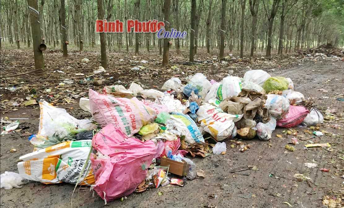 Nguy cơ lây lan dịch bệnh từ điểm tập kết rác chứa nội tạng lợn