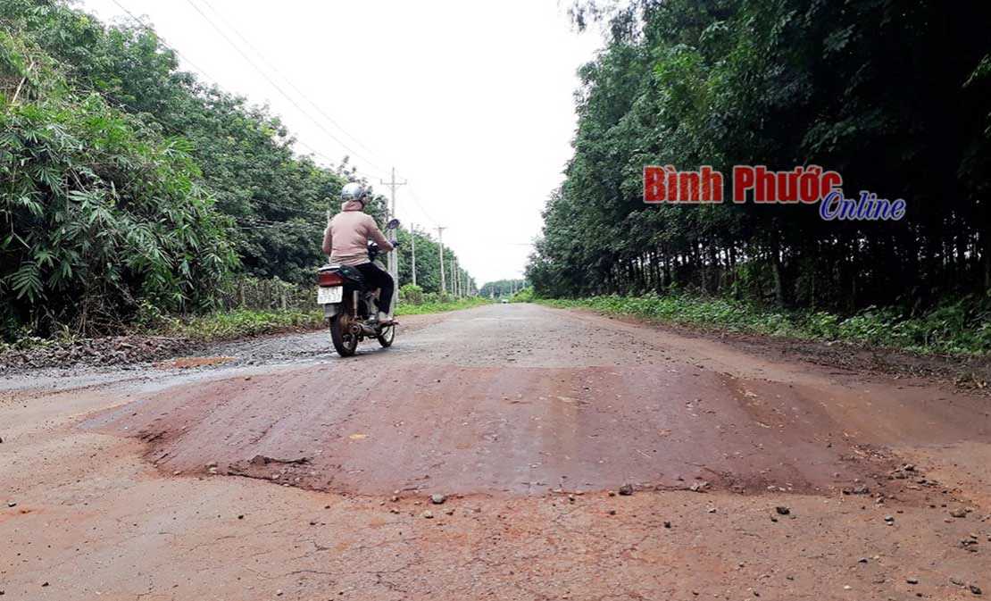 Mô đất giữa đường